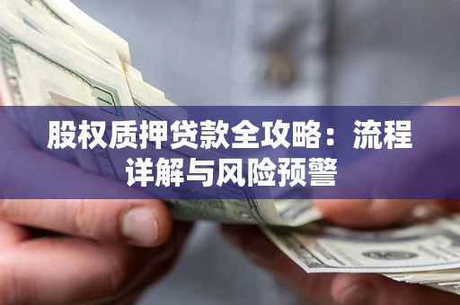 北京股权质押贷款全攻略：流程详解与风险预警