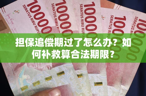 北京担保追偿期过了怎么办？如何补救算合法期限？