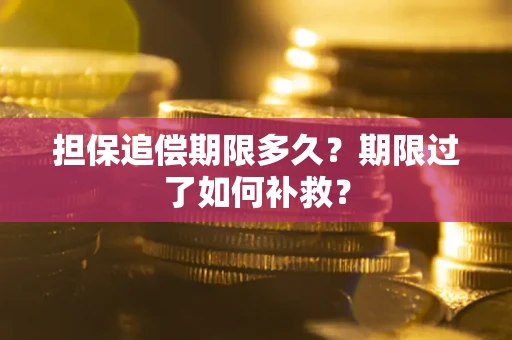 北京担保追偿期限多久？期限过了如何补救？