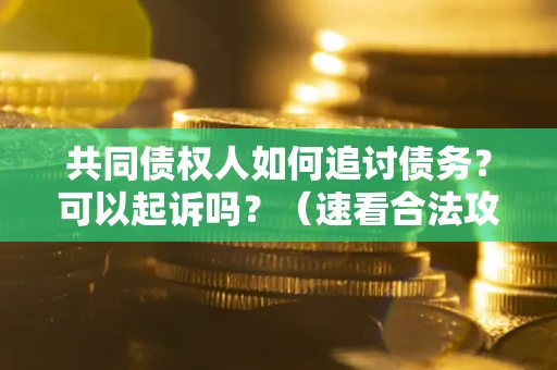 北京共同债权人如何追讨债务？可以起诉吗？（速看合法攻略）