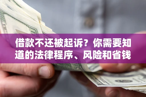北京借款不还被起诉？你需要知道的法律程序、风险和省钱技巧