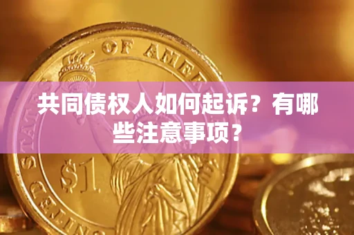 北京共同债权人如何起诉？有哪些注意事项？